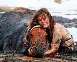 For 3 hours woman stays with trapped horse – then a farmer does everything he can to save its life