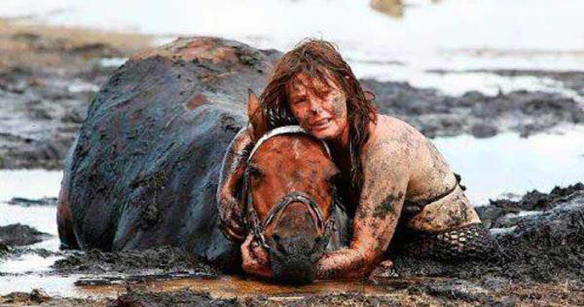 For 3 hours woman stays with trapped horse – then a farmer does everything he can to save its life