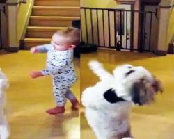 Adorable Baby And Puppy Go For A Spin To Get Snacks