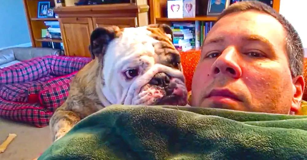 Bulldog Wants To Lay On Top Of Dad, Pouts Like A Child When He Says No