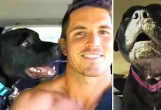 Talking Dog’s Unique Barks Helps Him Get Adopted