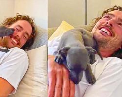 Man Who Has Never Had a Dog Meets His New Puppy For The First Time