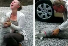 Long Lost Schnauzer Reunites With Owner And The Dog Passes Out From Excitement