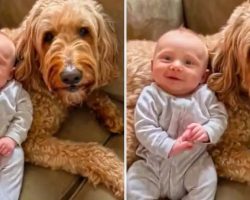 Talking Dog Tells Baby Boy That He Loves Him