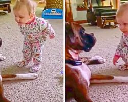 This Baby Can’t Stop Talking To Her Doggy Best Friend