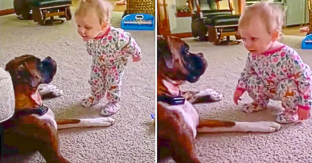 This Baby Can’t Stop Talking To Her Doggy Best Friend