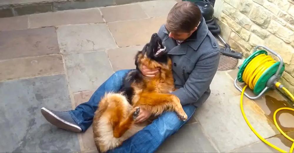 Dog Cries Out In Happiness After Months Apart From Owner