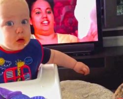 Baby’s Mind Is Completely Blown After Handing Dog A Cookie