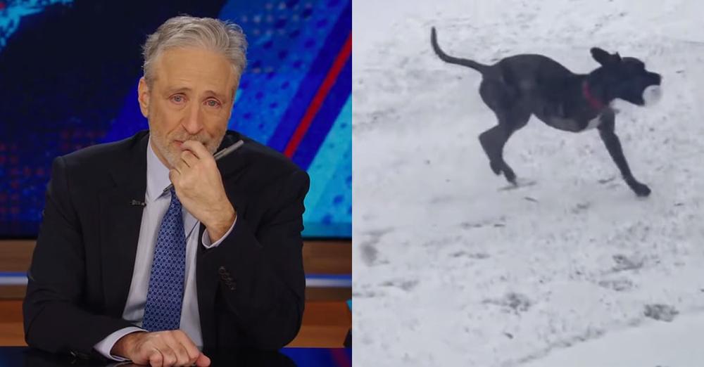 Jon Stewart breaks down in tears announcing beloved dog Dipper has died: “In a world of good boys, he was the best”