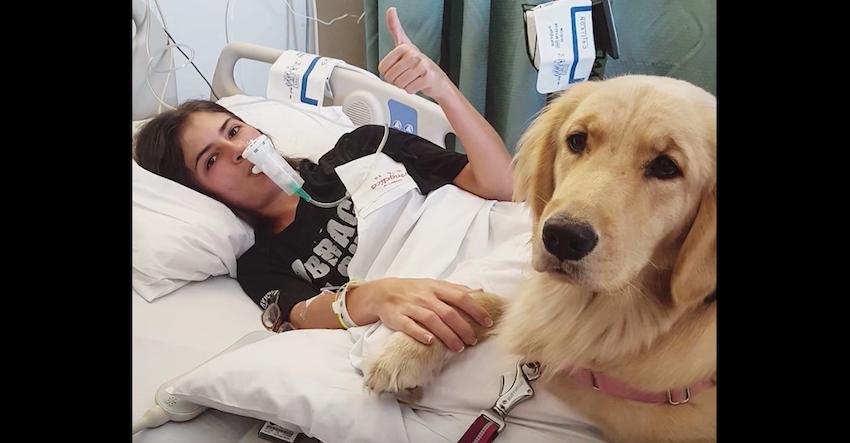 His owner is chronically ill, but Harlow takes being a service dog to another level