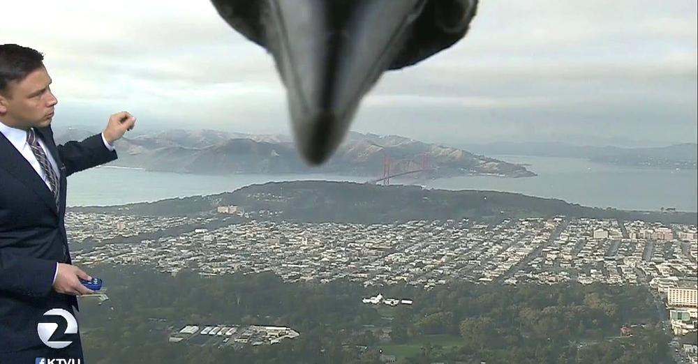 Bird Photobombs Weatherman’s Report Live On TV