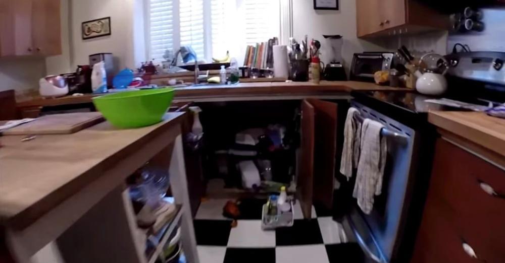Dad Walks In On Huge Mess, But His Anger Goes Away When He Sees The Dog