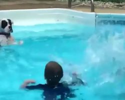 Dog Mimics Kids In Pool By Learning To Stand And Splash Back
