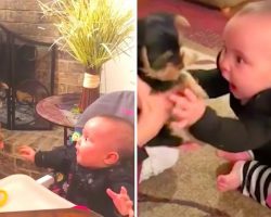 Baby Can’t Contain Her Excitement At Meeting Her Tiny New Puppy For The First Time