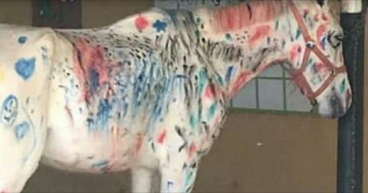 Teachers ask children to paint horse instead of canvas, sparking huge debate