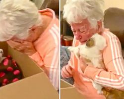 Grandma Brought To Instant Tears When Surprised With New Puppy