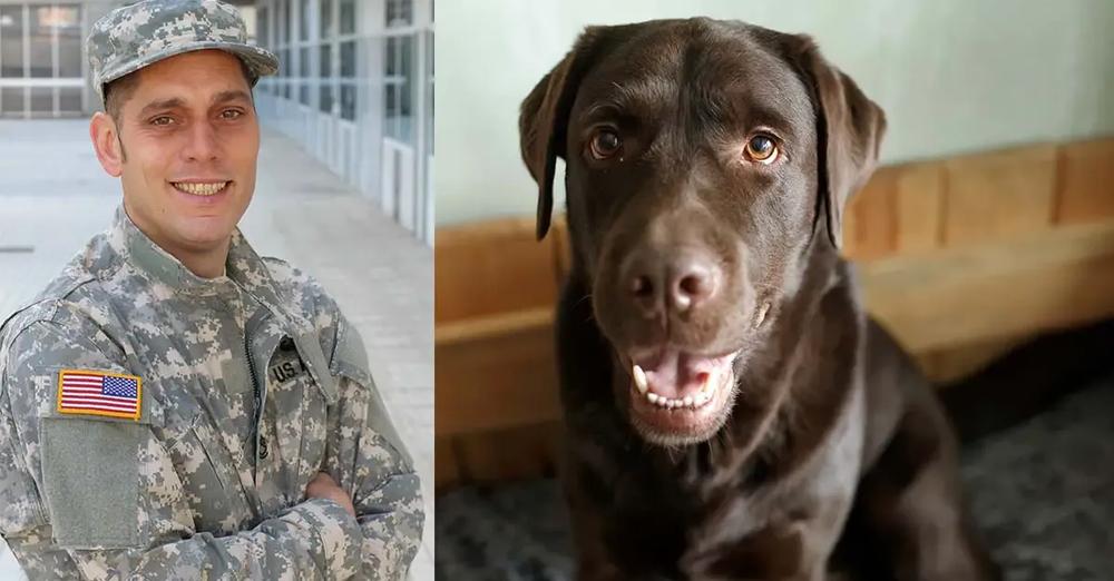 Heartbroken Army Vet is Separated from K9 until 2 Years Later They’re Reunited