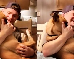 Sassy Dog Hilariously Talks Back To Her Owner