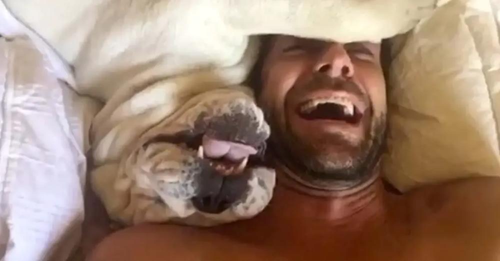 Grumpy Dog Makes Hilarious Sounds When Woken Up