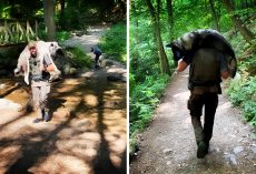 Park Ranger Carries 100 Pound Dog On His Shoulders To Save His Life