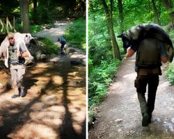 Park Ranger Carries 100 Pound Dog On His Shoulders To Save His Life