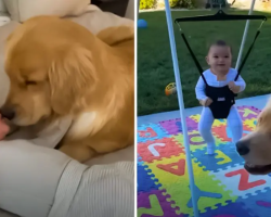 Becoming A Big Sister Cures This Dog’s Anxiety