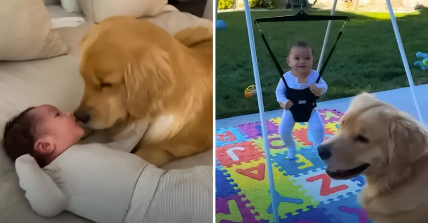 Becoming A Big Sister Cures This Dog’s Anxiety