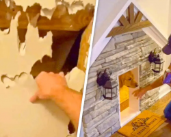 Man Tears Down His Closet To Build His Dog A Luxury Home