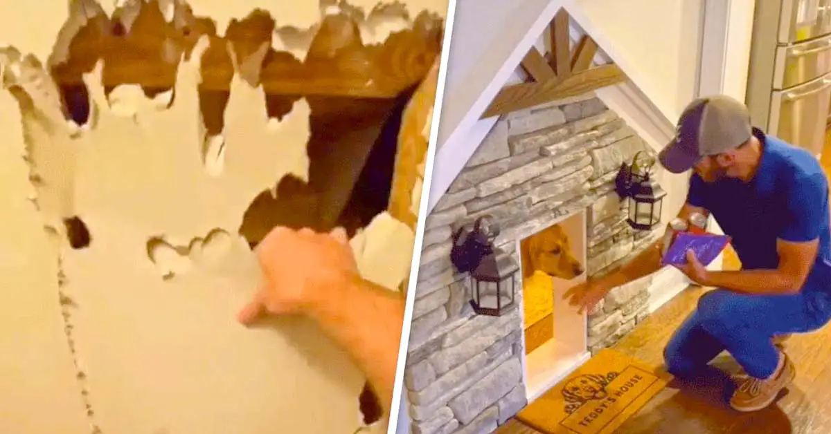 Man Tears Down His Closet To Build His Dog A Luxury Home