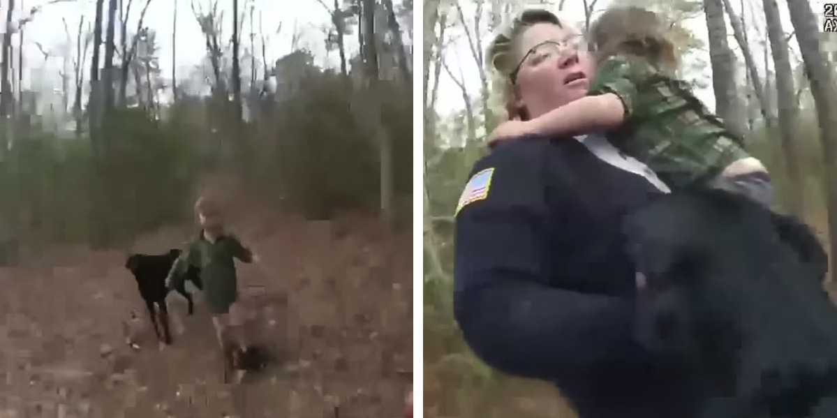 Missing boy comes sobbing out of the woods with a loyal companion who never left his side