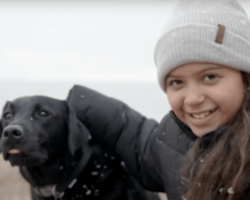 Hearing Dog Transforms Deaf Girl’s Life