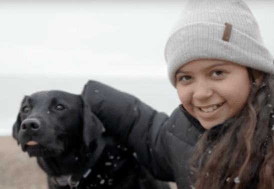 Hearing Dog Transforms Deaf Girl's Life