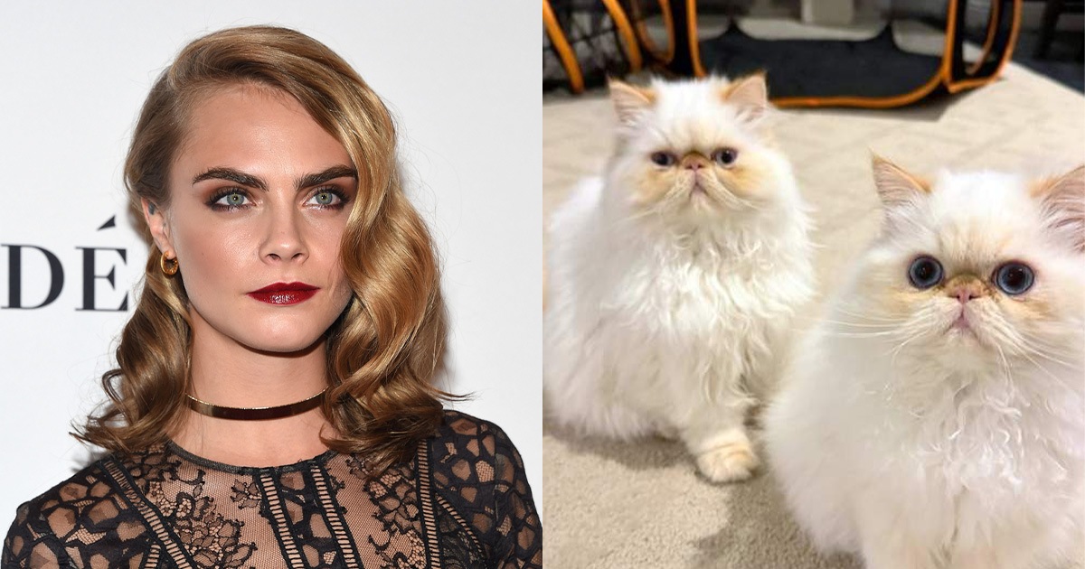Cara Delevingne reveals cats survived home fire after fears that they died: “Thank you to the firefighters”