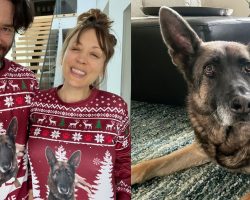 Kaley Cuoco, partner Tom Pelphrey announce death of beloved dog Blue