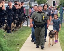 Police K9 with terminal cancer gets final salute from officers as he takes his last walk