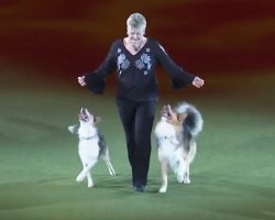 Mary Ray Performs One Last Time With Her Dogs in Magical Routine