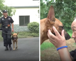 Cop Finds K9s Neglected In Their Retirement, Spends His Savings To Care For Them
