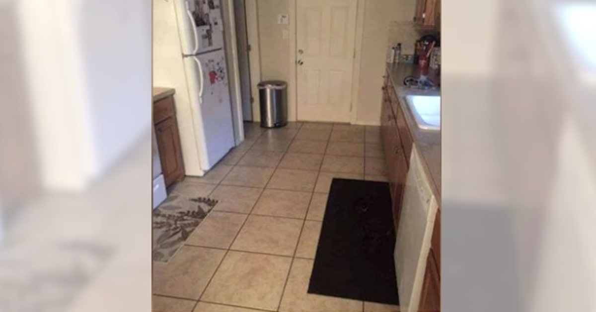 Can you find the large dog hiding in this kitchen?