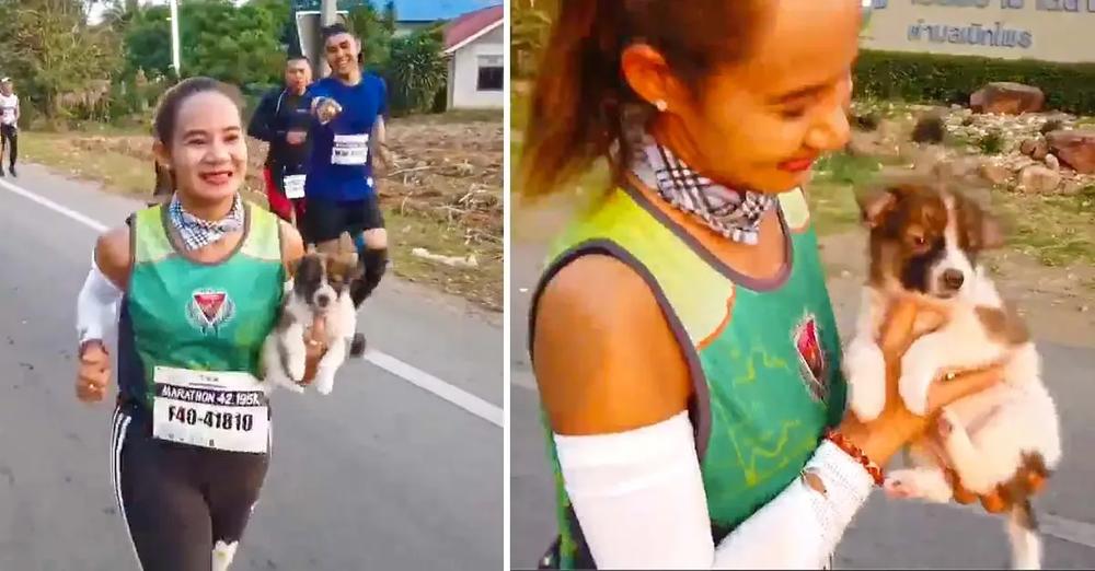 Marathon Runner Rescues Adorable Lost Puppy and Carries for 18 Miles