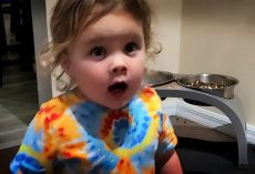 Adorable Little Girl Denies Touching Dog Food When Questioned by Parents
