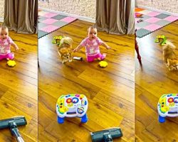 Baby Joins Doggy To Bark At The Vacuum Cleaner