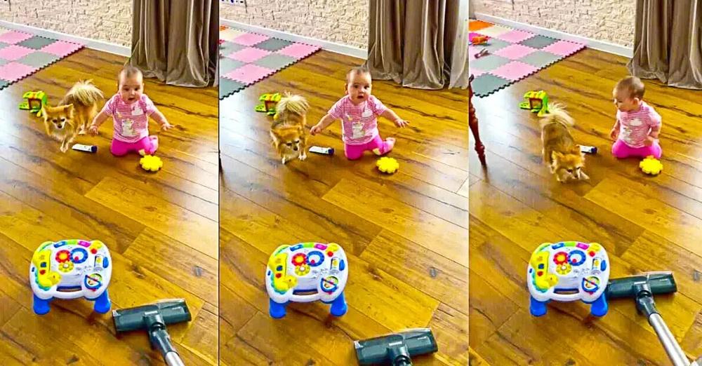 Baby Joins Doggy To Bark At The Vacuum Cleaner