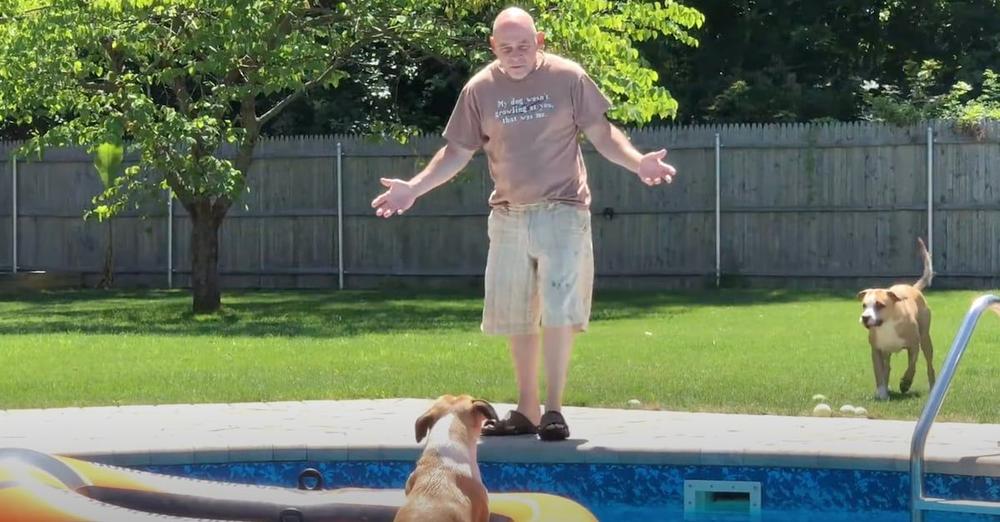 Dog Has Front Row Seat To Dad’s Pool Blunder