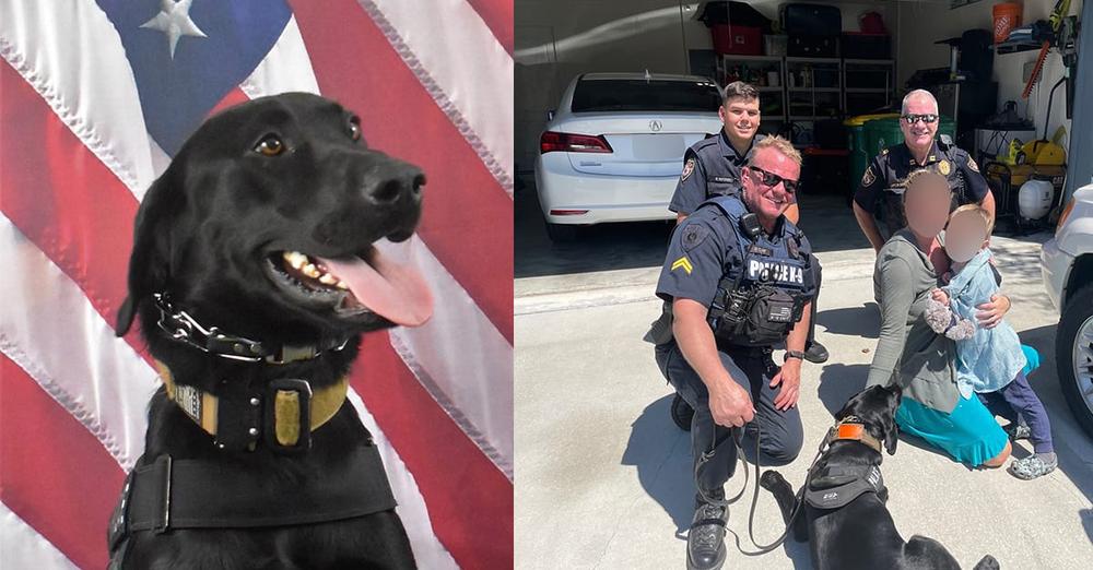 K9 police dog tracks down missing 3-year-old in the woods and gets him home safe — thank you