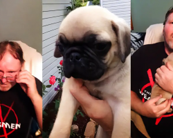 Woman Surprises Husband With Puppy After Losing Pug Of 11 Years