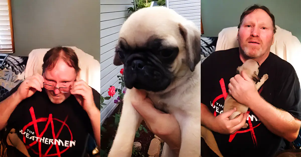Woman Surprises Husband With Puppy After Losing Pug Of 11 Years