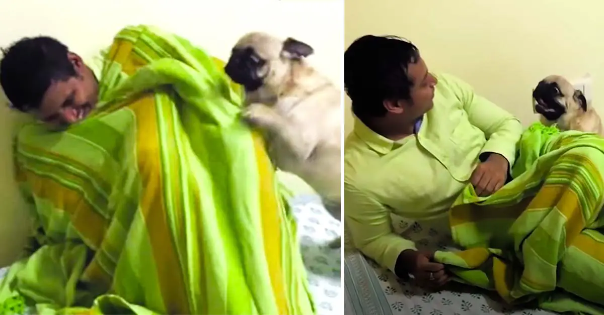 Pug FREAKS OUT After Reunited With Favorite Uncle