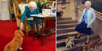 Queen Elizabeth II once comforted a war hero with the help of her pet corgis