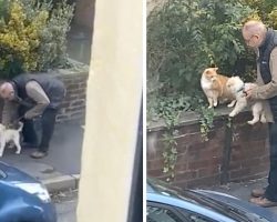 Pure Moment Witnessed As Woman Looks Out Her Window At A Stranger