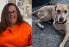 Prison inmate had given up hope — but caring for shelter dog changed both of their lives